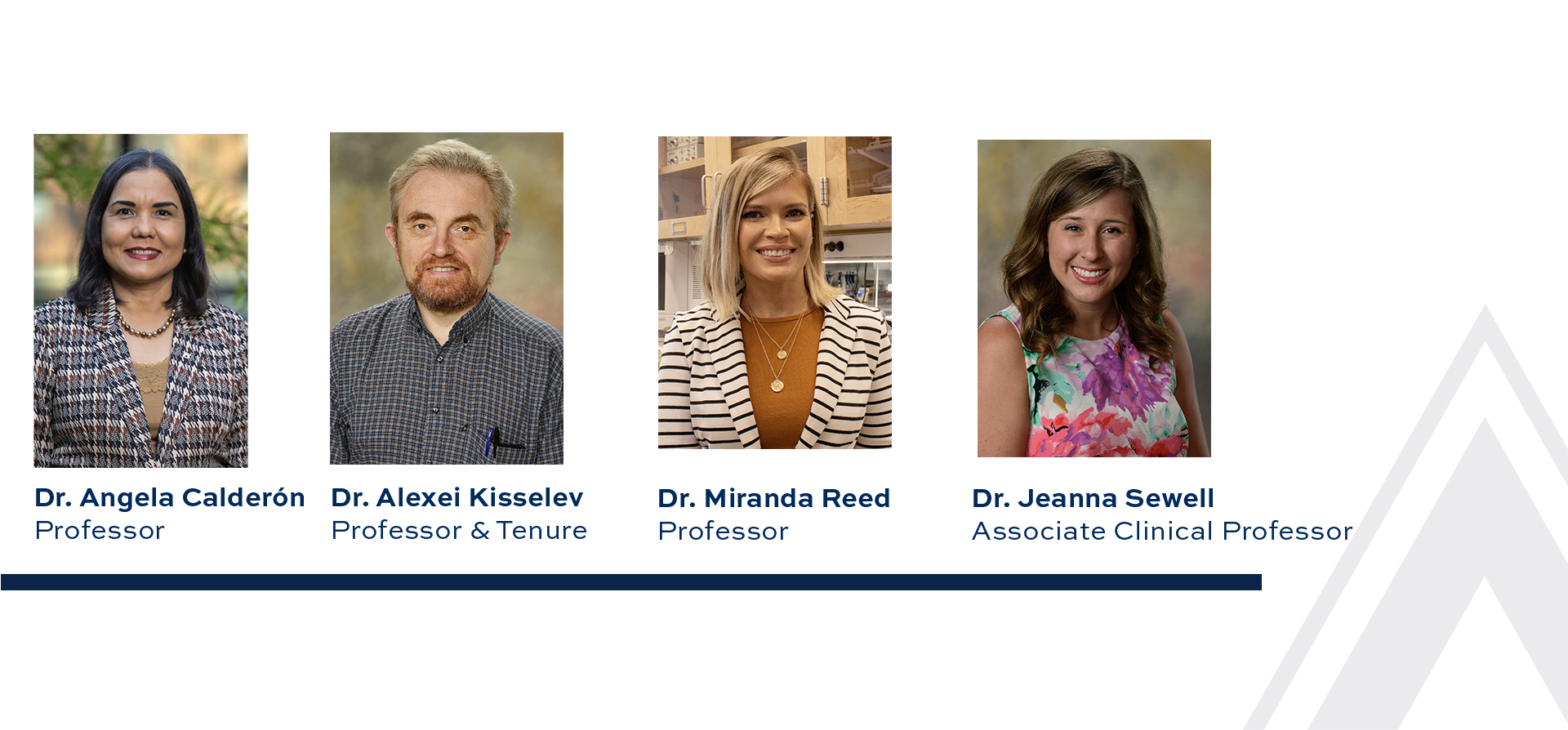 Graphic with four head shots of faculty members